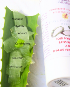 ALOE VERA DANS LE LEAVEIN